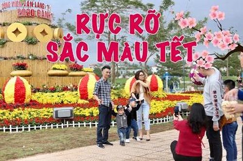 Rực rỡ sắc màu Tết