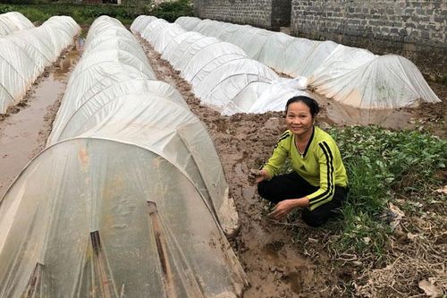 Trận mưa ngày đầu năm Canh Tý gây nhiều thiệt hại