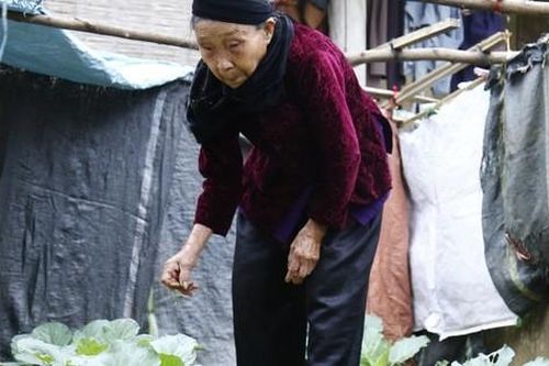 Tết đầu tiên của cụ bà 85 tuổi sau khi viết đơn xin được ra khỏi hộ nghèo