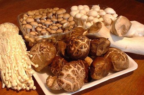 Ăn uống thông minh trong ngày tết