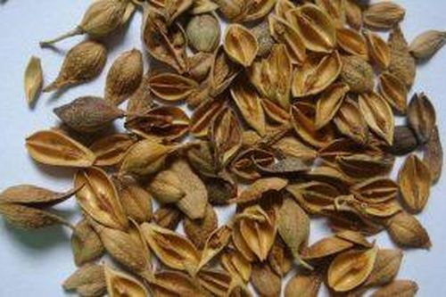 Bài thuốc đẩy lui bệnh, bồi bổ sức khỏe trong mùa xuân