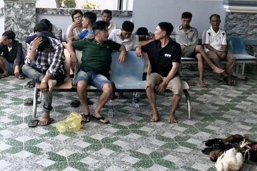 Cảnh sát 113 lội xuống mương nước để phá trường gà ở Cà Mau