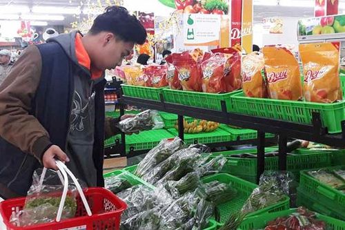 Hapro 'ra quân' đầu Xuân Canh Tý 2020