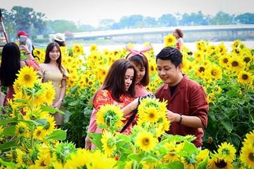 Nhiều lễ hội và đường hoa phục vụ khách du Xuân