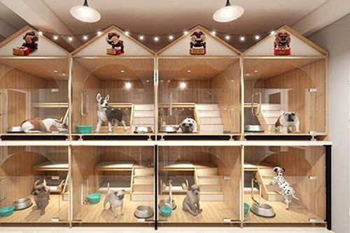 'Hốt bạc' từ dịch vụ cho nhà giàu Việt thuê khách sạn cho thú cưng