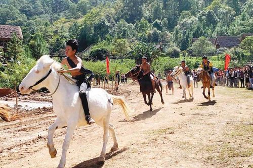 Chinh phục cao nguyên trên lưng ngựa Pha-rô