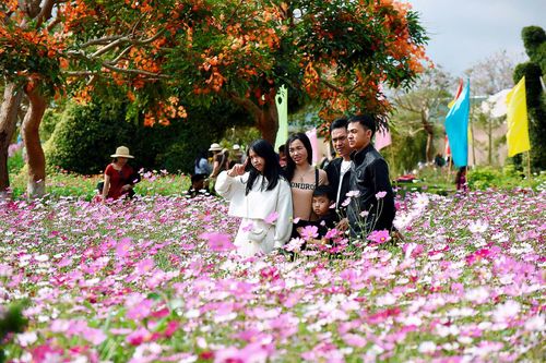 Gia Lai: Người dân nô nức đón chào Xuân mới