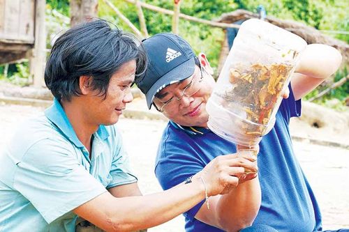 Người giữ bí kíp 'thuốc khỏe' ở Krong