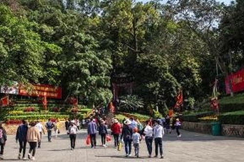 Đền Hùng ngày đầu năm mới