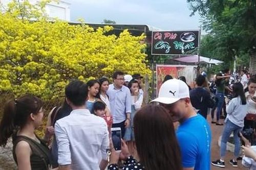 Nhộn nhịp người đến check-in 'cụ mai' tại Đồng Nai