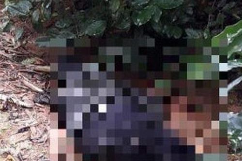 Vụ 3 mẹ con cô giáo bị bắn thương vong ngày mùng 2 Tết: Nghi phạm chết bên khẩu súng, để lại thư tuyệt mệnh