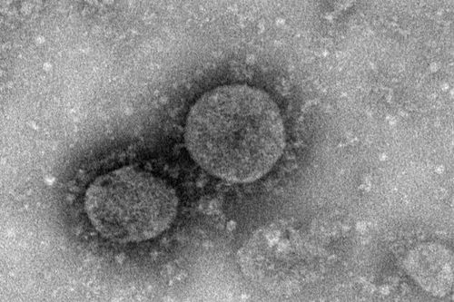 Hồng Kông (Trung Quốc) công bố phát triển thành công vaccine chống virus corona