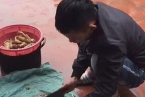 Ra mắt gia đình người yêu, chàng trai áp lực vì bị nhà gái 'giám sát'
