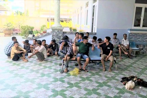 Công an Cà Mau triệt phá trường gà mùng 4 Tết