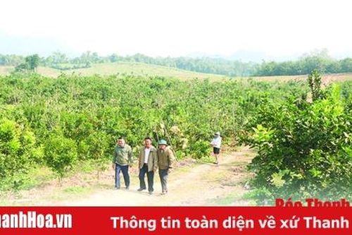 Thao thức vùng đồi