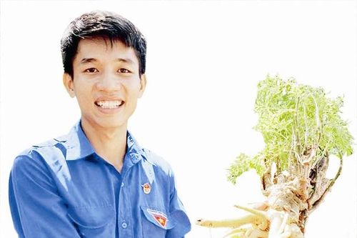 Khởi nghiệp từ điêu khắc củ đinh lăng – thanh niên 9X kiếm được hàng trăm triệu đồng mỗi năm