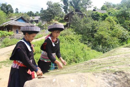 Người Mông xanh giữ nghề truyền thống