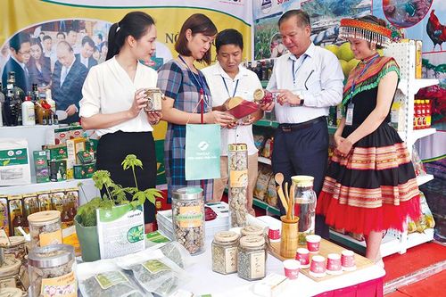 Nông nghiệp Lào Cai phát triển bền vững