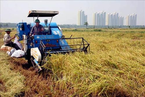Gỡ khó cho cơ giới hóa nông nghiệp