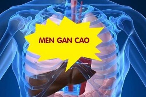 Men gan cao do đâu?