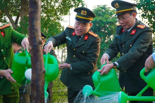 Nam Định: Không hoàn thành chỉ tiêu trồng cây, trồng rừng sẽ bị kiểm điểm