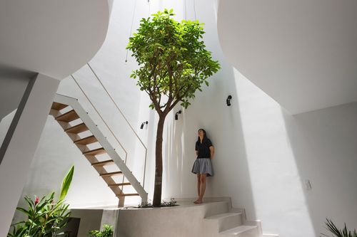 Hai ngôi nhà có vườn treo nằm chung sau một mặt tiền