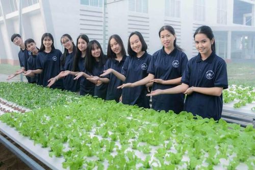 Ươm mầm xanh thiện nguyện