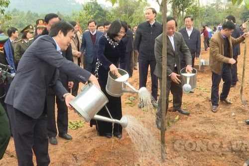 Phó Chủ tịch nước Đặng Thị Ngọc Thịnh phát động Tết trồng cây tại Đền Hùng
