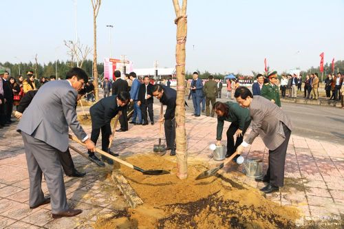 Nghệ An phát động Tết trồng cây 'Đời đời nhớ ơn Bác Hồ' Xuân Canh Tý