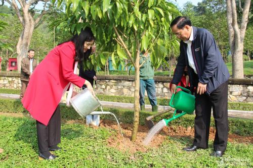 HĐND tỉnh dâng hương tưởng niệm Chủ tịch Hồ Chí Minh và trồng cây đầu năm mới