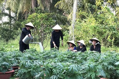 Vĩnh Long đưa du lịch trở thành ngành kinh tế mũi nhọn - Bài 1: Chú trọng phát triển các thế mạnh