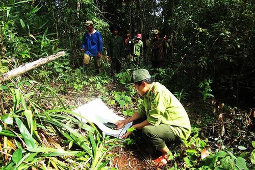 Vườn Quốc gia Kon Ka Kinh quyết tâm quản lý, bảo vệ rừng