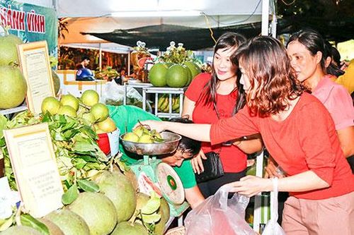 Thí điểm mô hình tiêu thụ nông sản và cung ứng vật tư nông nghiệp