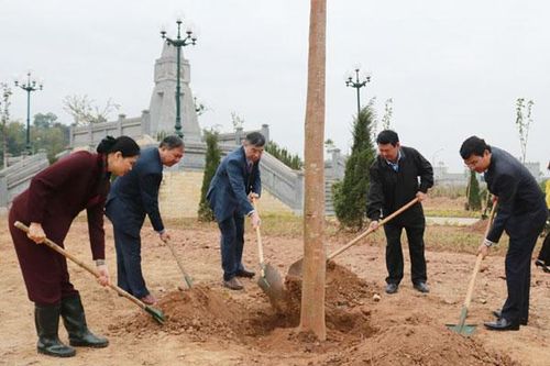 Lào Cai phát động Tết trồng cây Xuân Canh Tý 2020