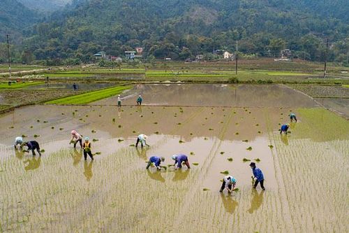 Nông dân xã Bản Qua xuống đồng sản xuất đầu năm