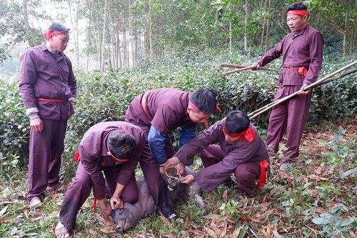 Lễ hội mở cửa rừng dân tộc Mường huyện Yên Lập