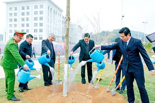 Phát động Tết trồng cây Xuân Canh Tý 2020