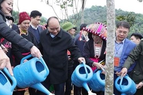 Thủ tướng phát động 'Tết trồng cây đời đời nhớ ơn Bác Hồ' ở Yên Bái