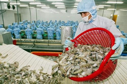 Kỳ vọng những mốc son mới
