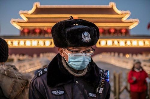 Lan truyền lấp liếm về súp dơi và 'cơn lũ' tin giả gây hoảng loạn