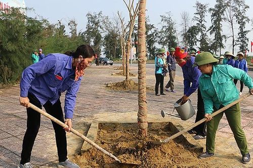 Nhiều địa phương hưởng ứng Tết trồng cây