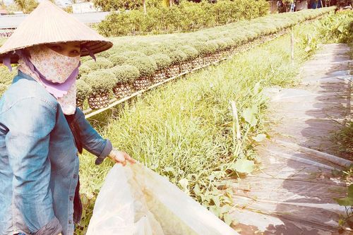 Mặn xâm nhập sâu ở các tỉnh ĐBSCL