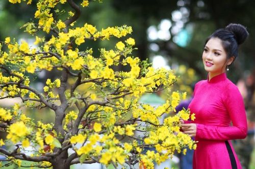 Tìm lối ra cho thị trường hoa, cây cảnh TP HCM