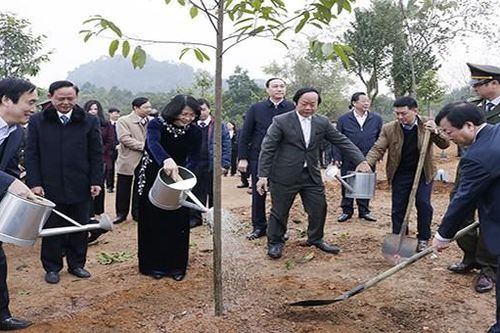 Phó Chủ tịch nước phát động Tết trồng cây tại Khu di tích lịch sử Đền Hùng