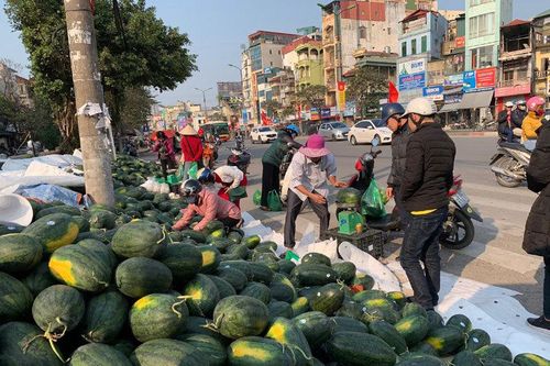 Dưa hấu ế chất đống vỉa hè Hà Nội, đầu năm tê tái giữa giá rét