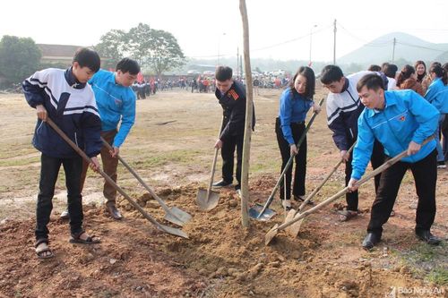 Hơn 500 thanh, thiếu niên tham dự Lễ phát động Tết trồng cây 'Đời đời nhớ ơn Bác Hồ'