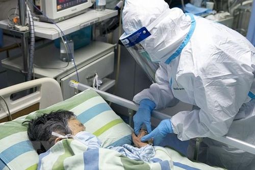 Australia nghiên cứu các đặc tính chủ yếu của virus 2019-nCoV