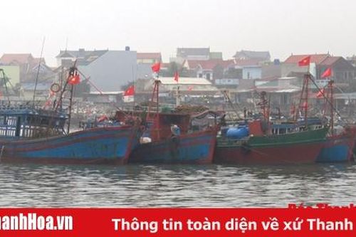 Ngư dân Tĩnh Gia vươn khơi đầu năm Canh Tý