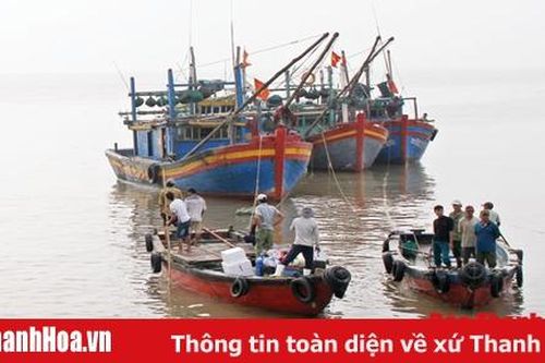 Ngư dân 'xuất quân' chuyến biển đầu năm