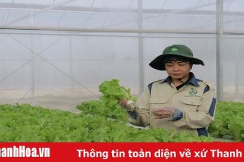 Hiệu quả kết nối cung - cầu nông sản